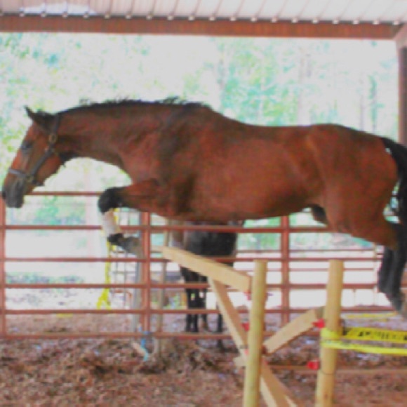 Meet your Posher, Hopes - Picture 1 of 1